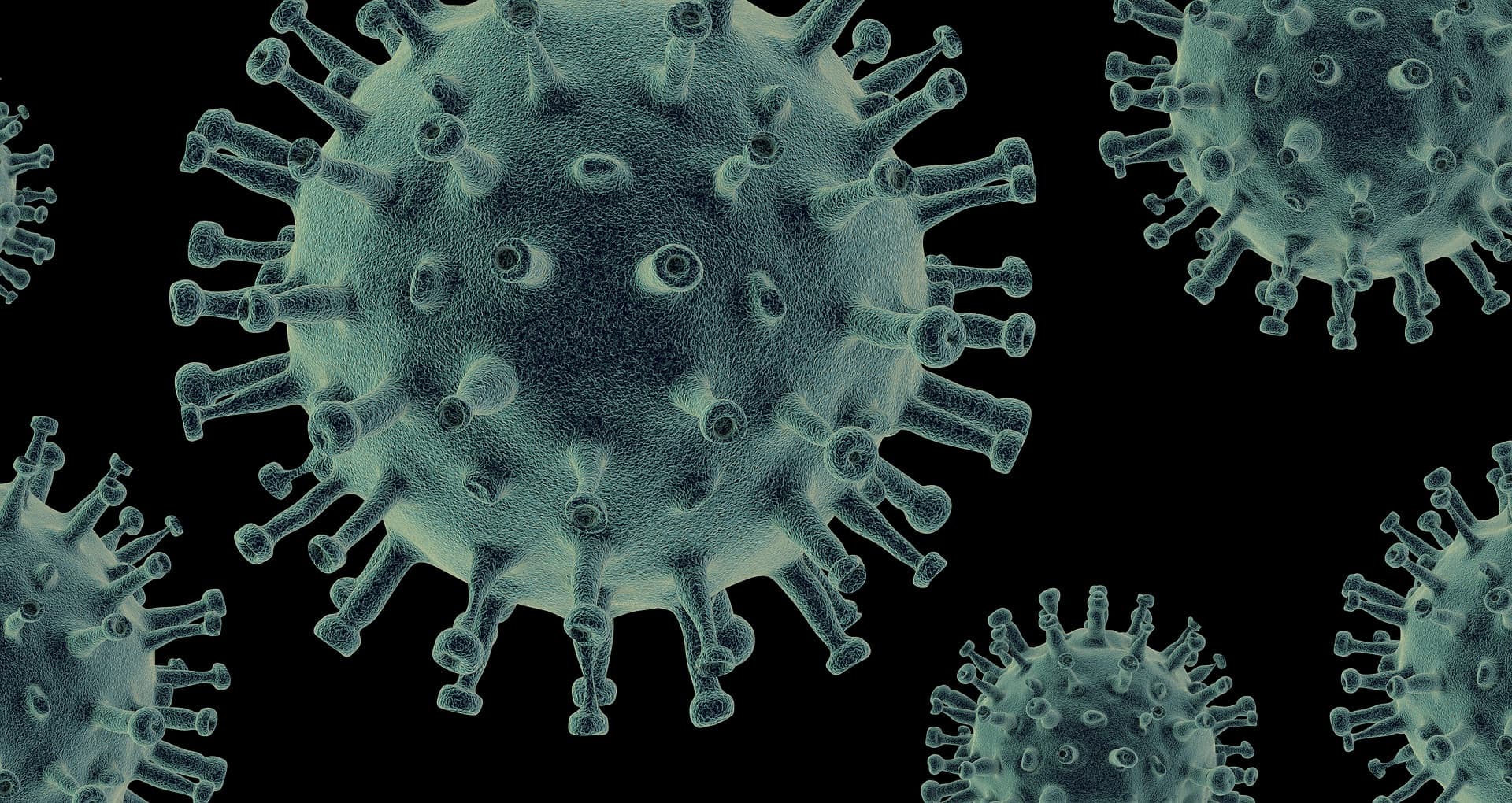 Pale grey coronavirus particles against a black background