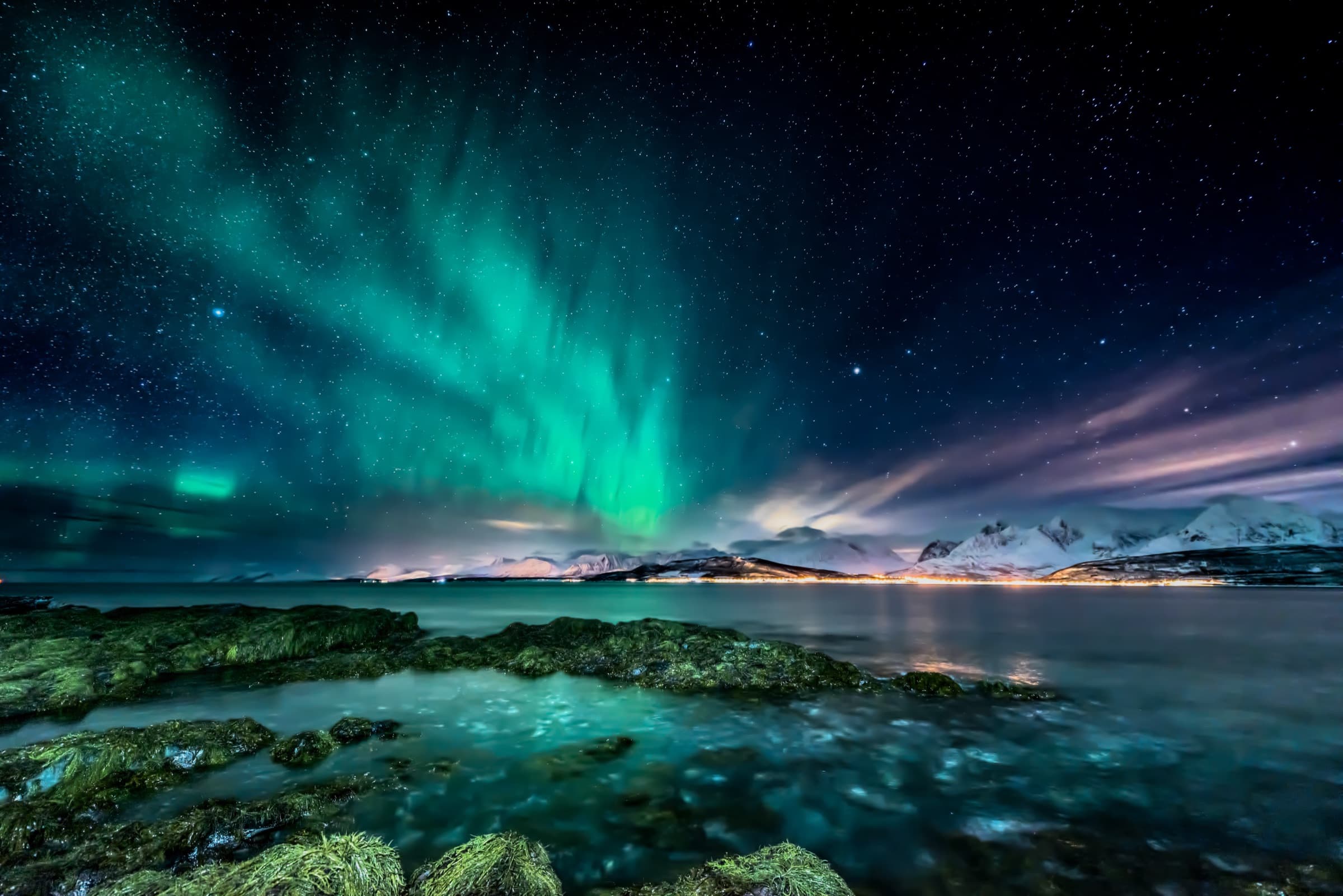 Green aurora borealis over a snow-lined arctic shoreline