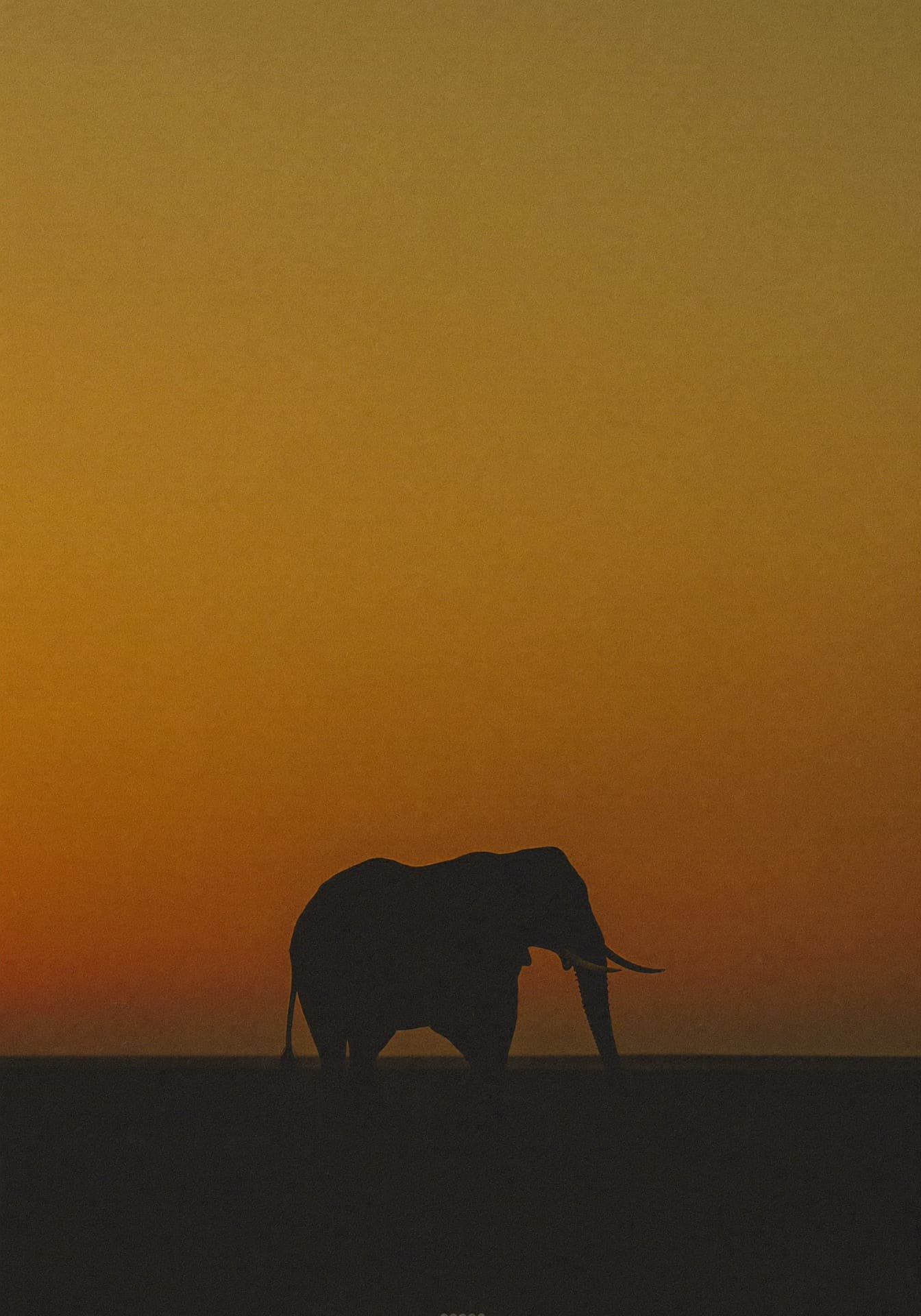 A lone elephant silhouetted against a burnt-orange dusk sky