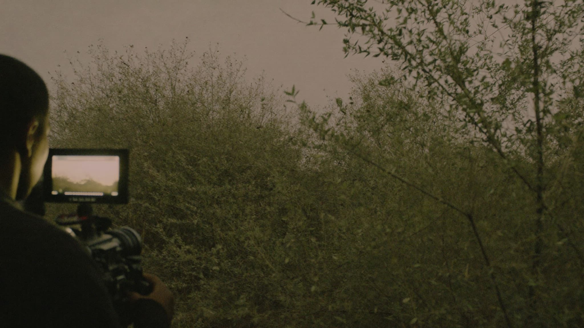A camera operator filming in dense bush at dusk