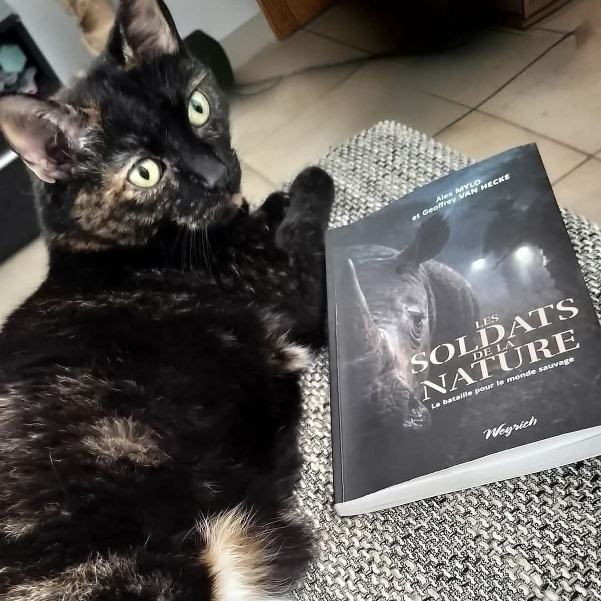 A tortoiseshell cat stretched out on a rug beside a copy of Les Soldats de la Nature