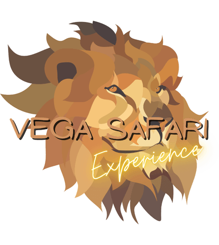 Vega Safari Experience — Safaris · South Africa
